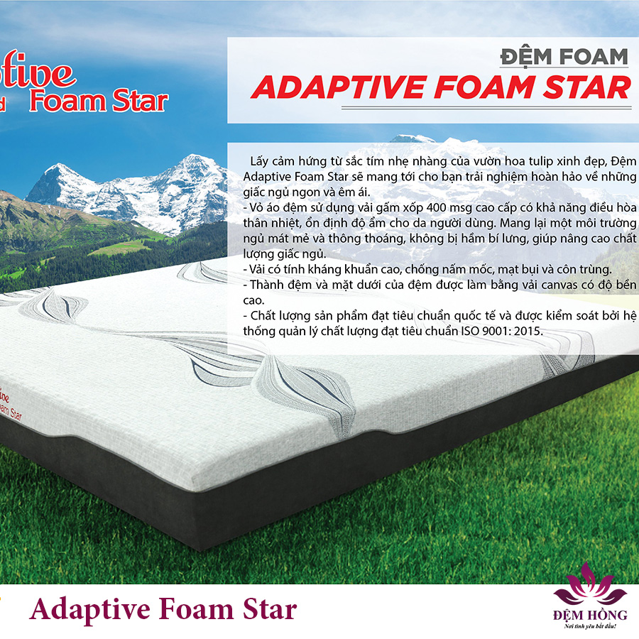 Thông số kỹ thuật nệm foam massage Adaptive Star